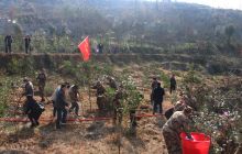 德江县开展2018年义务植树活动