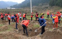 铜仁市2018年“互联网+全民义务植树”暨“春晖林”建设活动启动