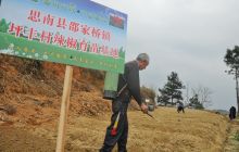 思南:抢抓农时育苗忙