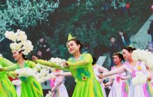 沿河第九届李花节开幕