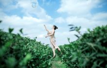 茶园故事
