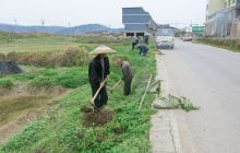 松桃加强公路绿化推进全域旅游示范乡镇创建