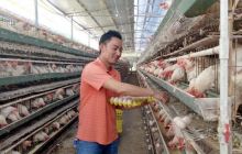 松桃青年返乡创业走致富