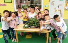 德江县第四幼儿园开展“浓情端午·粽叶飘香”庆端午活动