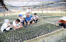 全国20余家网络媒体聚焦我市脱贫攻坚