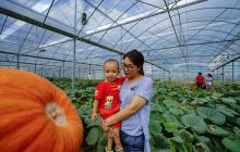 万山九丰农业博览园见闻