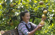 聚焦脱贫攻坚·共建美好家园