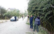 松桃交通运输局采取措施积极应对低温雨雪凝冻天气