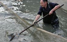 宋有七的农旅结合致富路