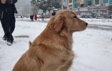 铜仁雪后见闻录