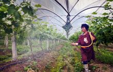 江口县打破常规，探索“党建+”模式助力乡村振兴