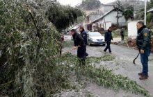 雪凝冻天气竹子弯腰阻路  松桃路政及时清理保畅通 