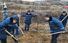 松桃交通运输局积极参加2019年植树活动