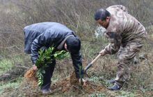 德江县堰塘乡开展2019年义务植树活动