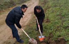 松桃县妙隘乡春节植树忙