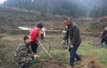 松桃：寨英水源村新增200亩精品水果基地助推脱贫