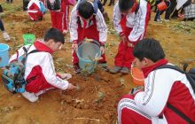 铜仁市“我为家乡捐棵树·同心共建春晖林”活动启动