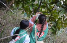 参加绿色行动·保护美丽家园