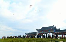 正大茶园“迎春”引客来