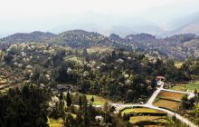 松桃孟溪：万亩樱花惹人醉