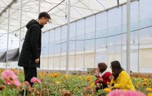 思南：乡村旅游  踏青赏花