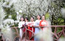 相约南庄三月天 万亩花海任您游