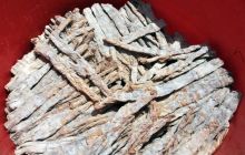 六龙山山珍—干笋子上市了