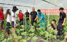 万山区谢桥街道全员学习大棚蔬菜栽培技术