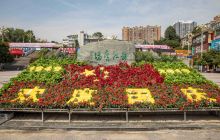 碧江区街头国旗飘飘欢度国庆