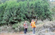 碧江区灯塔办事处开展森林防火巡查