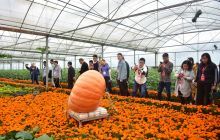 铜仁市举行第八届旅游产业发展大会观摩活动