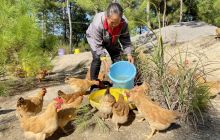 取“短”补“长” 德江县杨河村百姓过上好日子