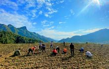 干群一心 共谋“致富经”