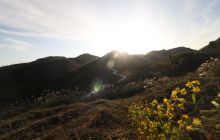 德江县旋溪村：产业路促进村民经济收入