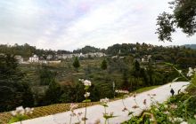 德江县桶井乡下坪村：草木葱郁 村容村貌变化翻天覆地