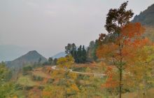 沿河县平原村：美丽乡村入画来