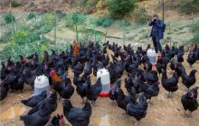 铜仁市摄影家协会走进松桃县妙隘乡深度贫困村采风