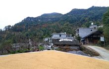 沿河县永丰村：路通产业兴