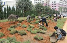 万山区狠抓绿化美化打造农旅一体化乡村