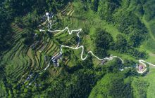 松桃县白果村：一个贫困小山村的“逆袭”