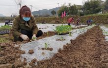 德江：疫情防控严 春耕生产忙