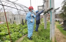 松桃“缕锕美”供电服务队：战“疫”之下的千亩春耕保电助群众脱贫致富