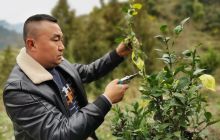 德江：致富能人姚紫发