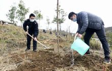 铜仁市开展2020年义务植树活动