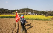 松桃供电局:花开季巡视巡维忙