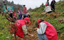 堰塘乡凝聚青春力量 为复工复产添薪加柴