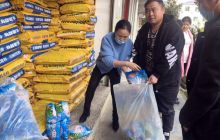 碧江区桐木坪乡免费发放种子肥料种青贮玉米