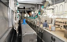 铜仁市家禽机械化屠宰场将建成投产