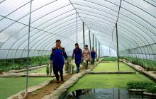 印江县新民坝区：“一田多用”效益倍增