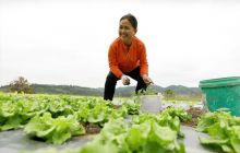 齐心共奔脱贫路